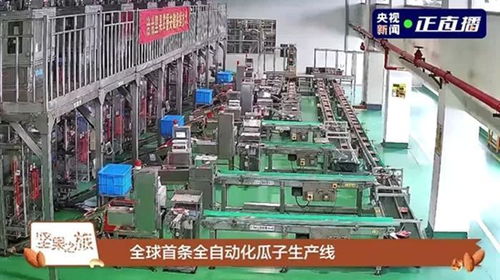 洽洽榮獲第二十屆中國食品安全大會多項殊榮，技術服務引領行業標準